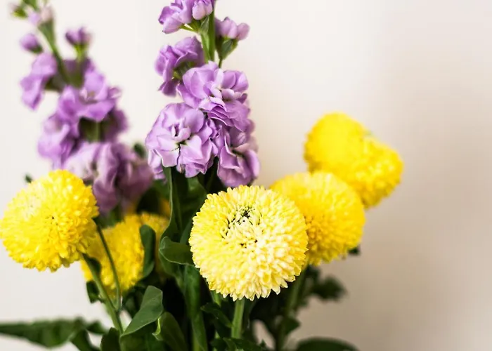 Adriana Boutique بيت ضيافة